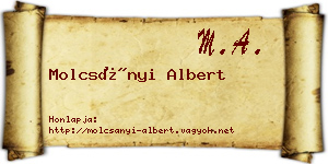 Molcsányi Albert névjegykártya
